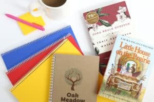 Oak Meadow books, supplies, and workspace